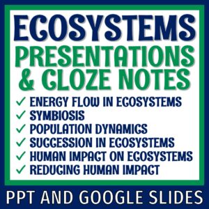 middle school ecosystem notes