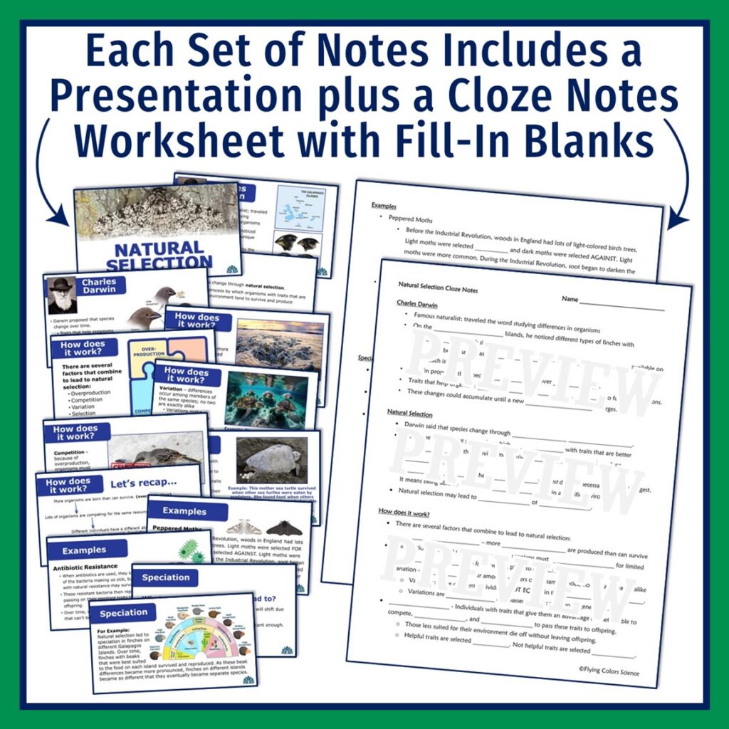Middle School Evolution Notes - Flying Colors Science