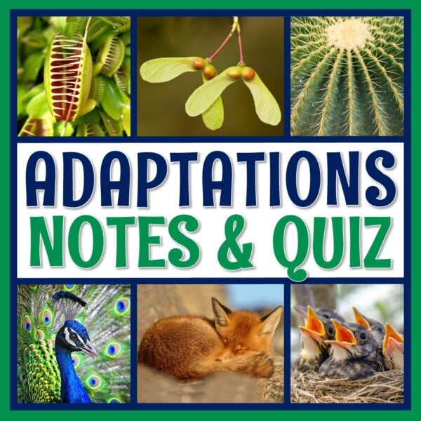 Adaptations Notes and Quiz - Flying Colors Science