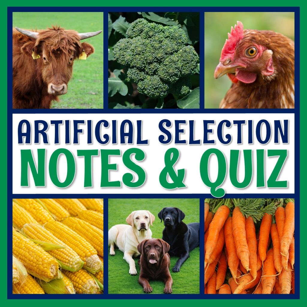Artificial Selection Notes and Quiz - Flying Colors Science