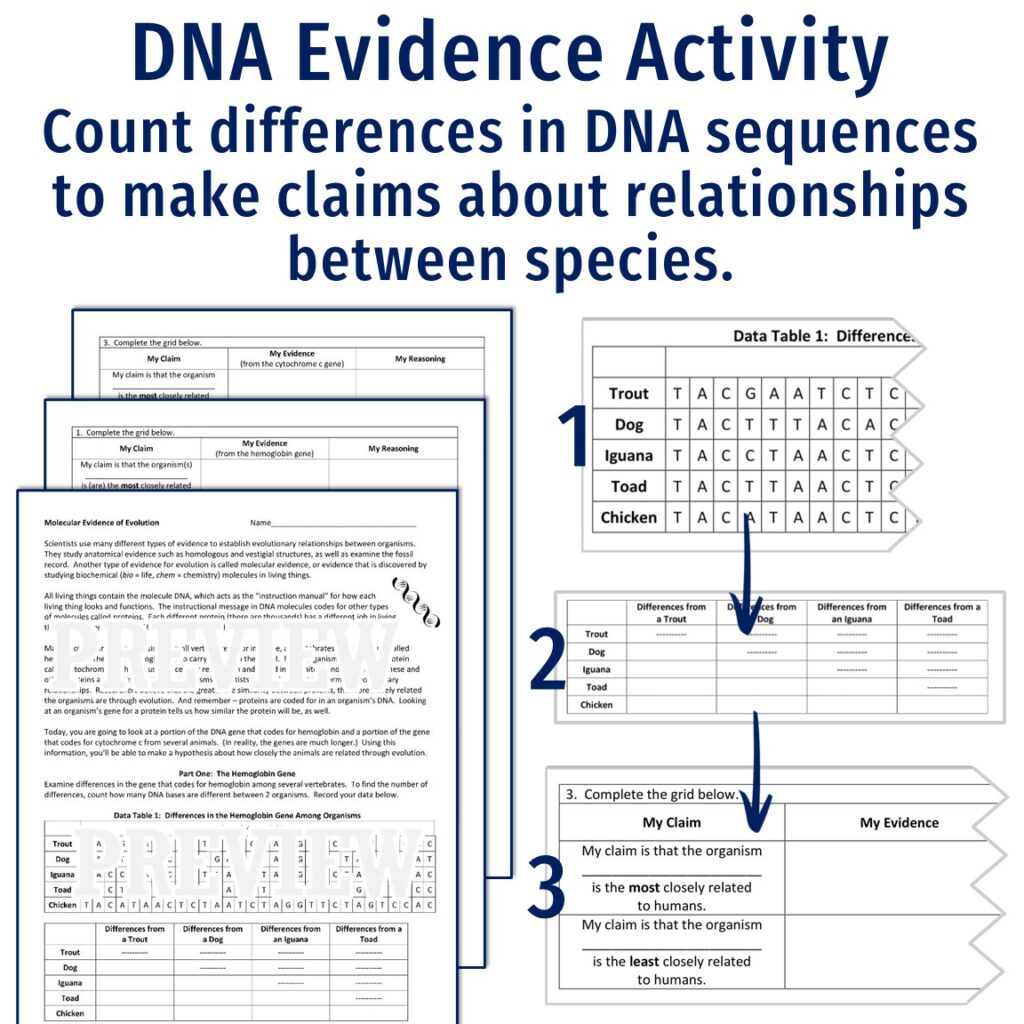 Evidence of Evolution Unit - Flying Colors Science