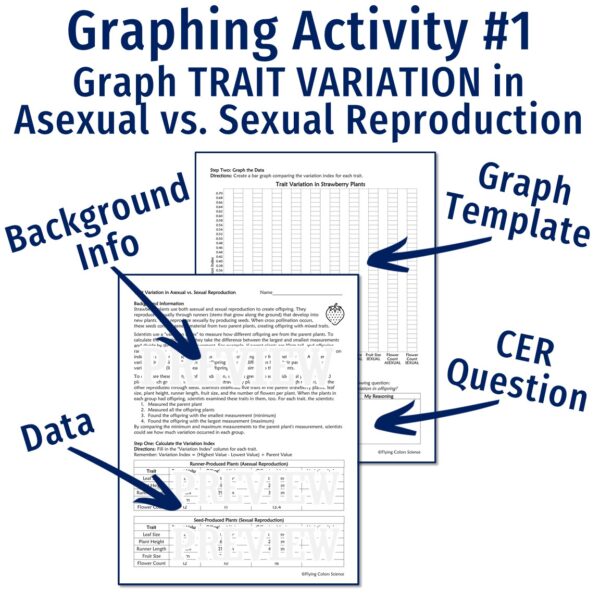 Graphing Reproduction Activity - Image 2