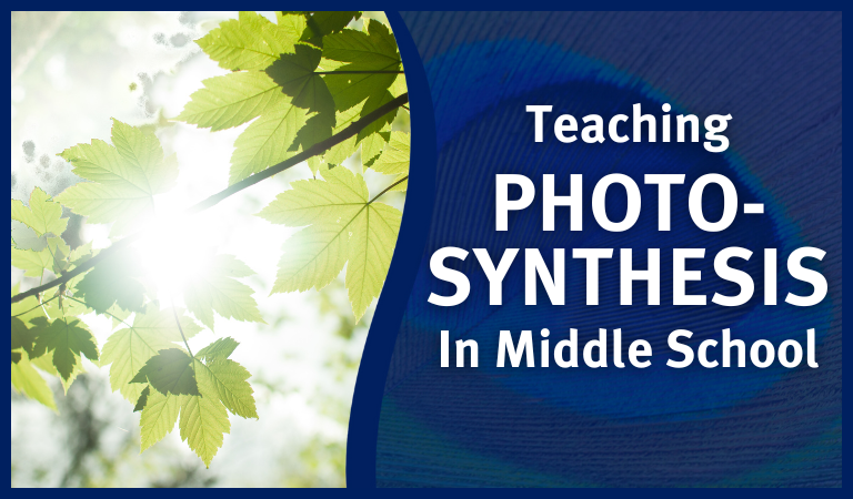 teaching photosynthesis in middle school