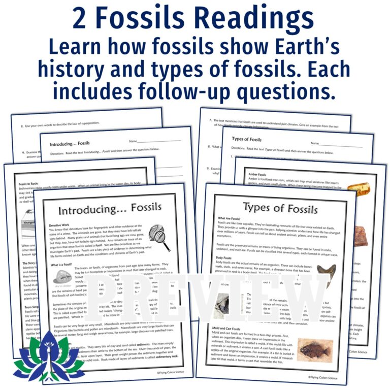 Fossils and Geologic Time Unit - Flying Colors Science