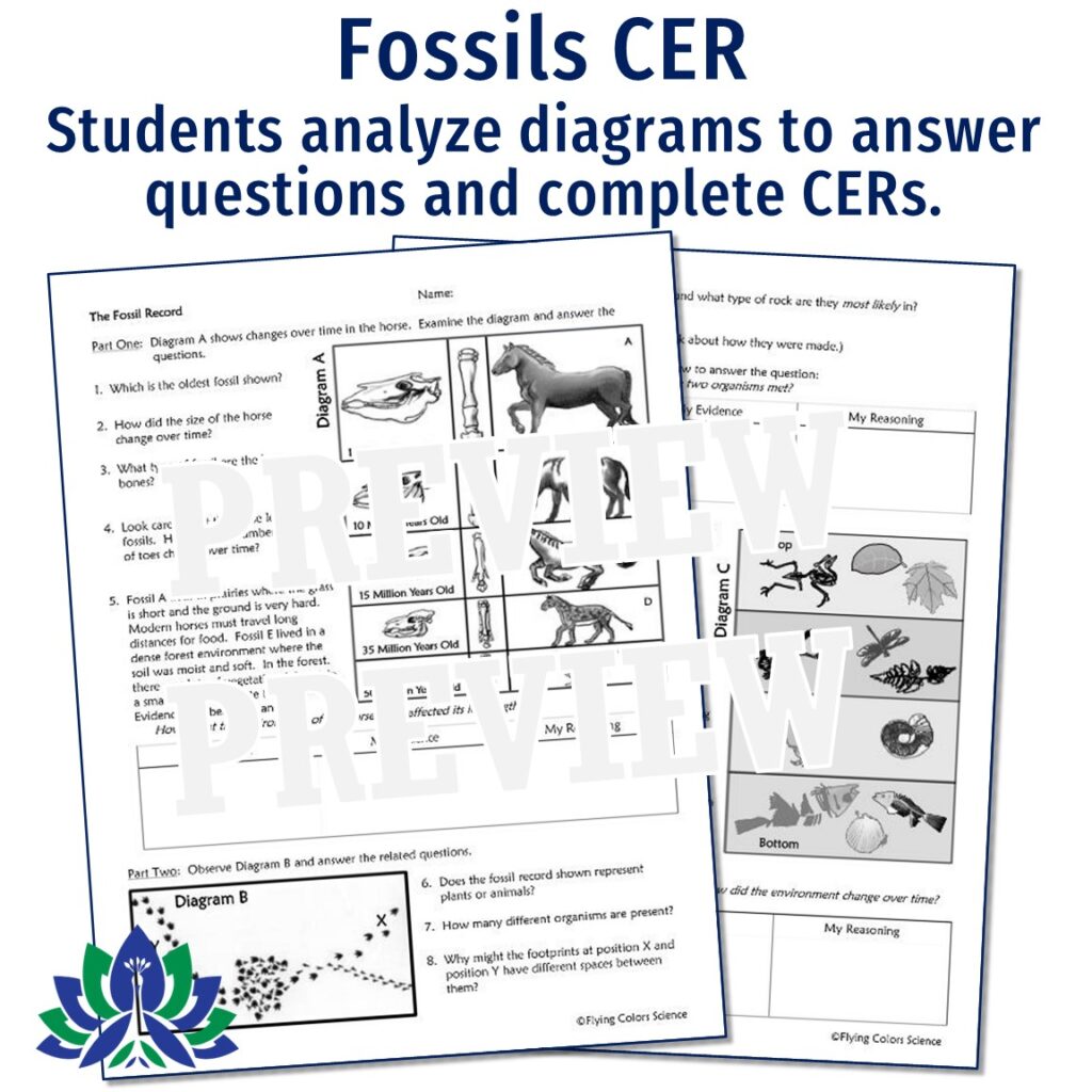 Fossils and Geologic Time Unit - Flying Colors Science