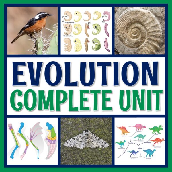 Biological Evolution Unit