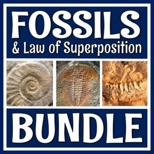 fossil activity bundle