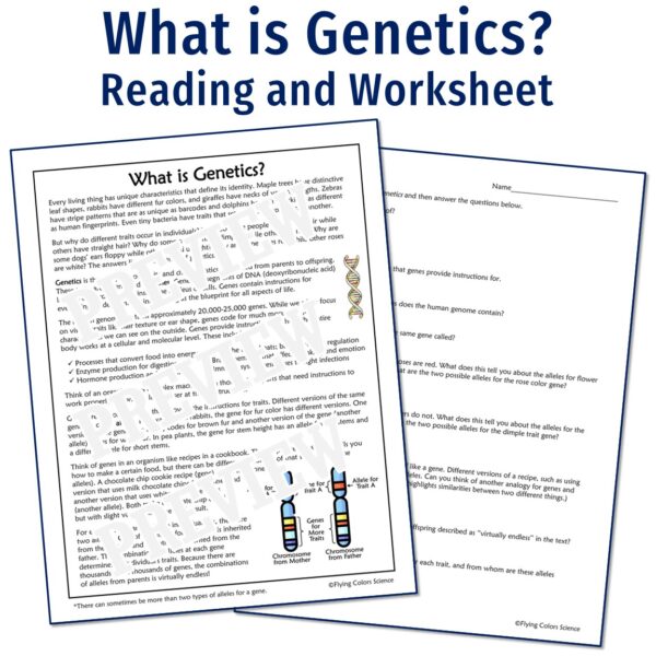 Genetics Reading Set - Flying Colors Science