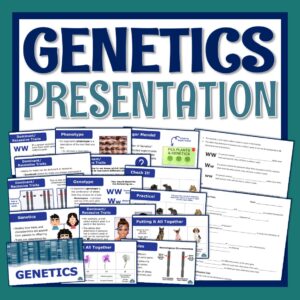 middle school genetics notes