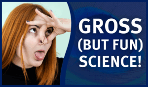 gross science activities for middle school