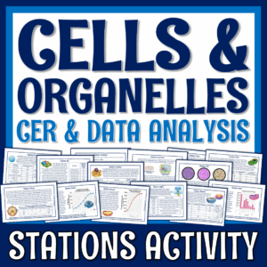 Organelles CER Activity
