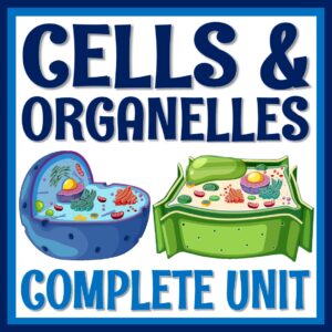 organelles unit