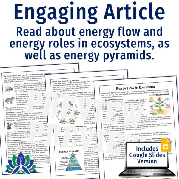 Energy Flow in Ecosystems Reading and Worksheet - Flying Colors Science
