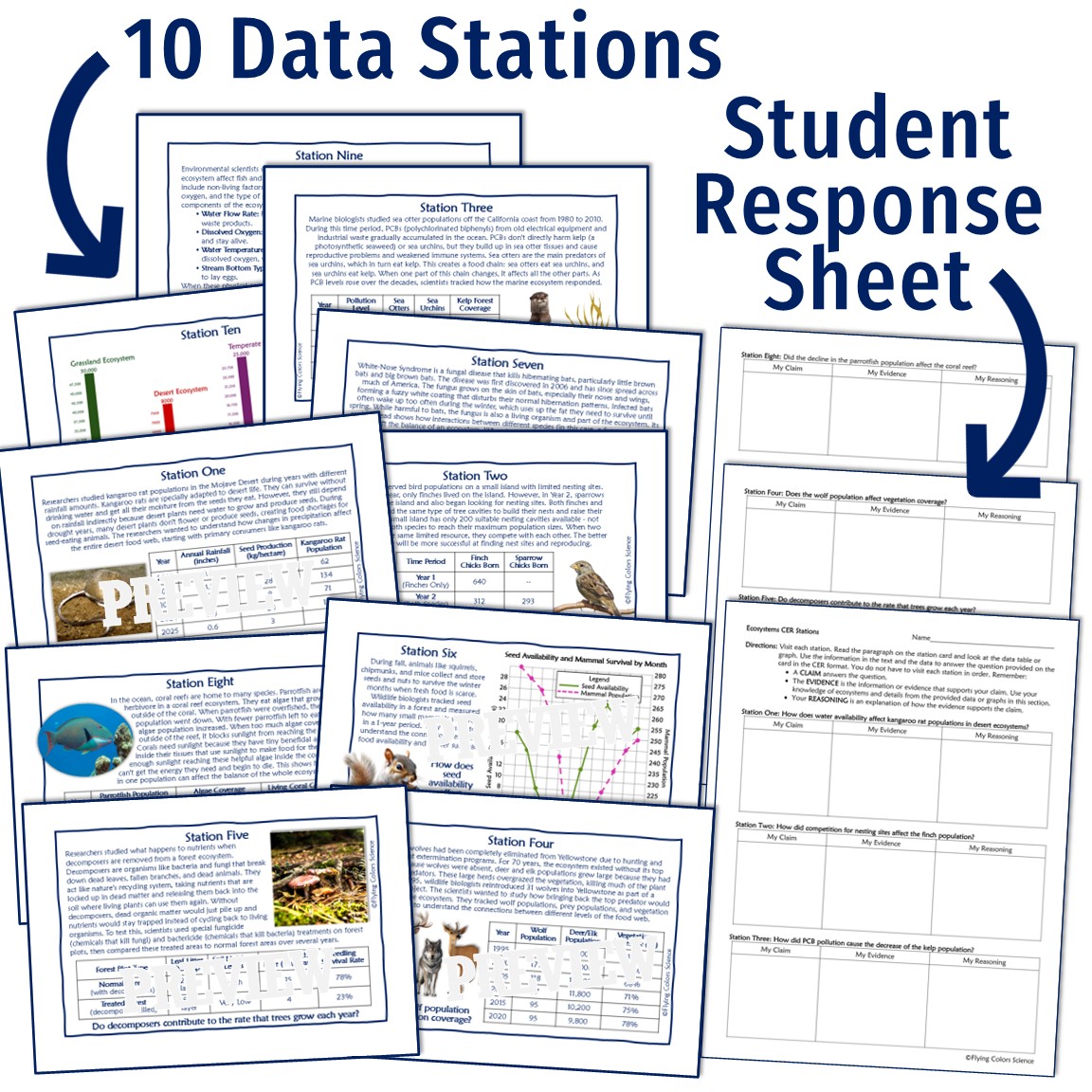 Ecosystems Cer Activity Flying Colors Science