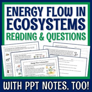 energy flow in ecosystems reading