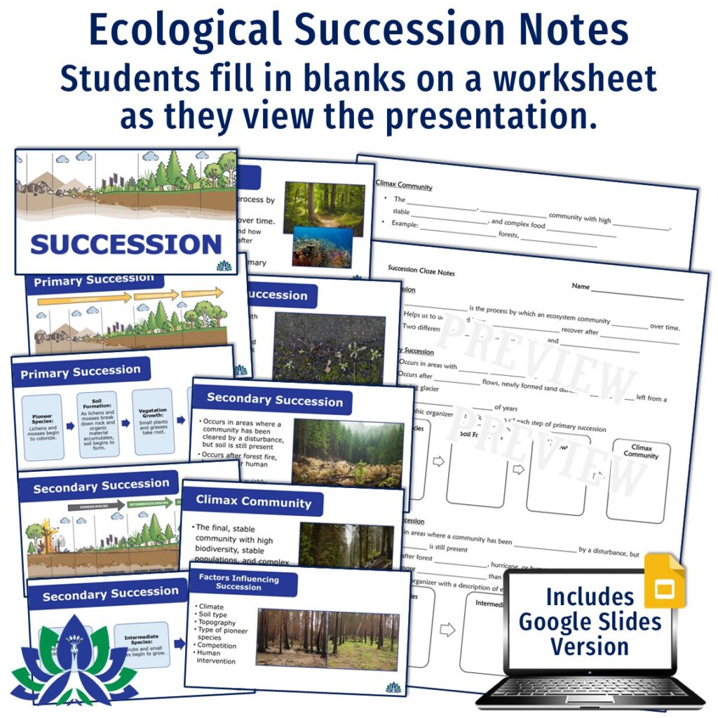 Succession Notes Science Ecological Succession Activities Bundle - Flying Colors Science