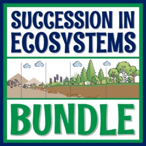 Ecological Succession Activities
