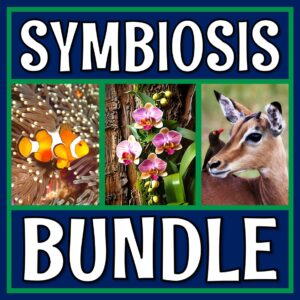 Symbiosis Activities