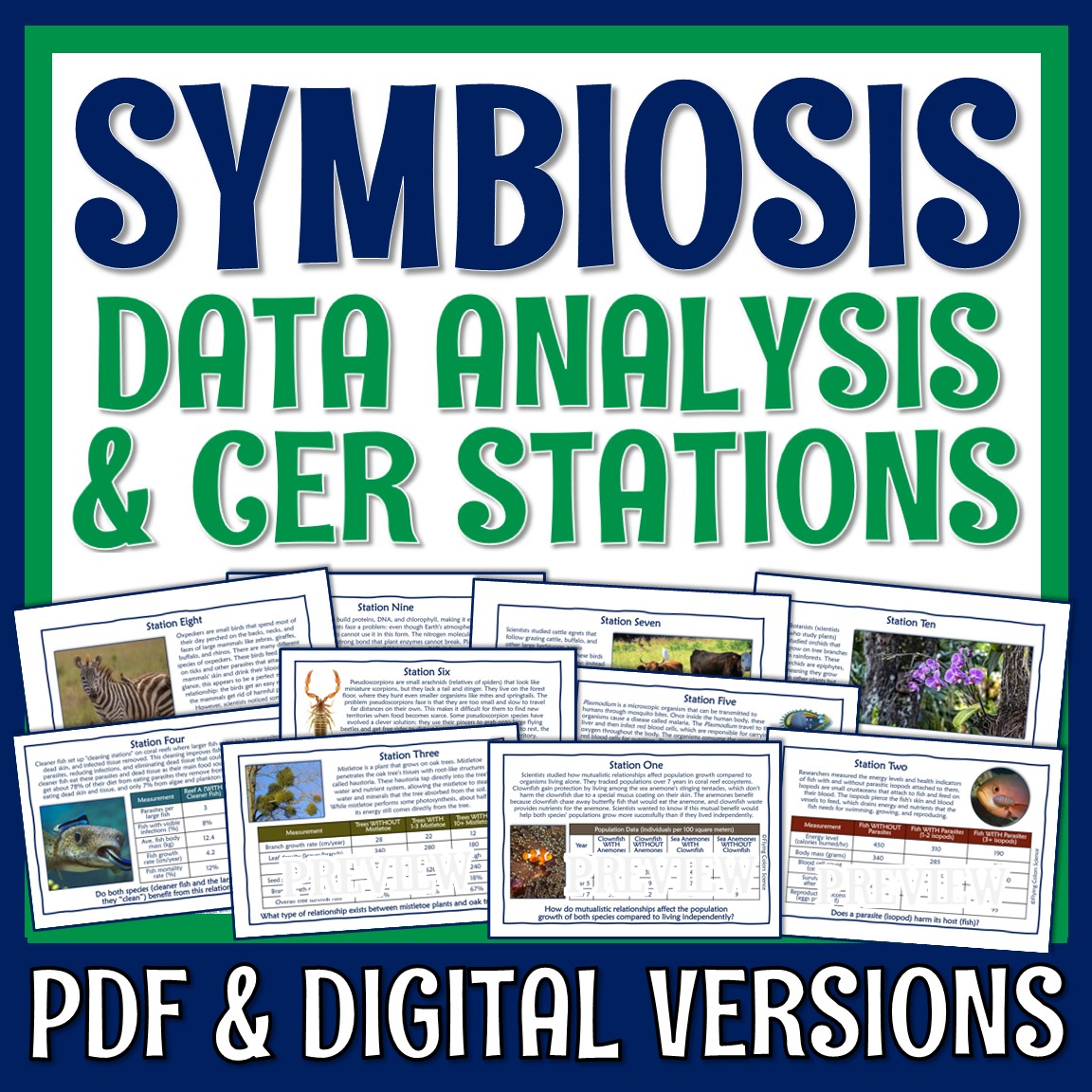Symbiosis Cer Activity Flying Colors Science
