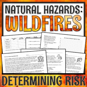 Wildfires Science Activity