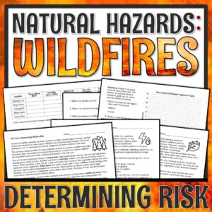 Wildfires Science Activity