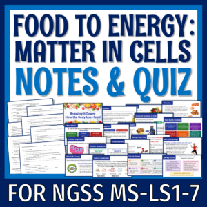 macromolecules notes and quiz