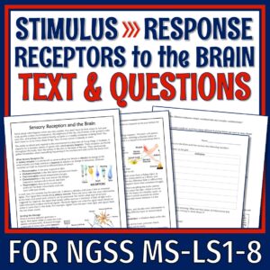 Sensory Receptors to the Brain Reading