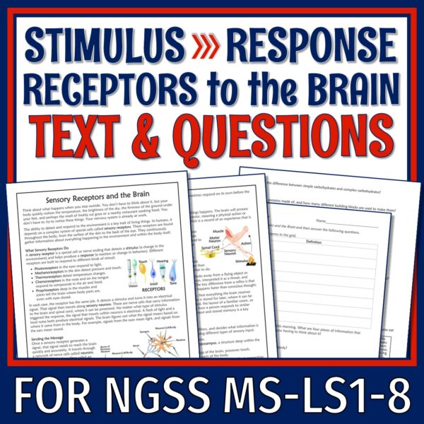 Sensory Receptors to the Brain Reading & Worksheet - Flying Colors Science
