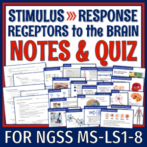 Sensory Receptors and the Brain Notes
