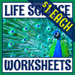 life science worksheets