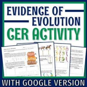 evolution evidence activity