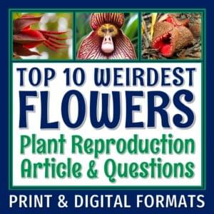 Specialized Plant Structures Reading