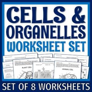 Organelles Worksheets